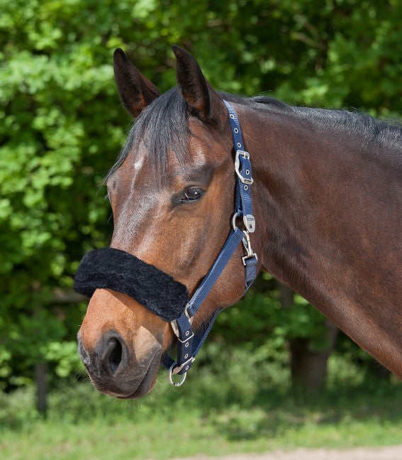 Noseband/Headpiece Cushioning Pads - Pirouette