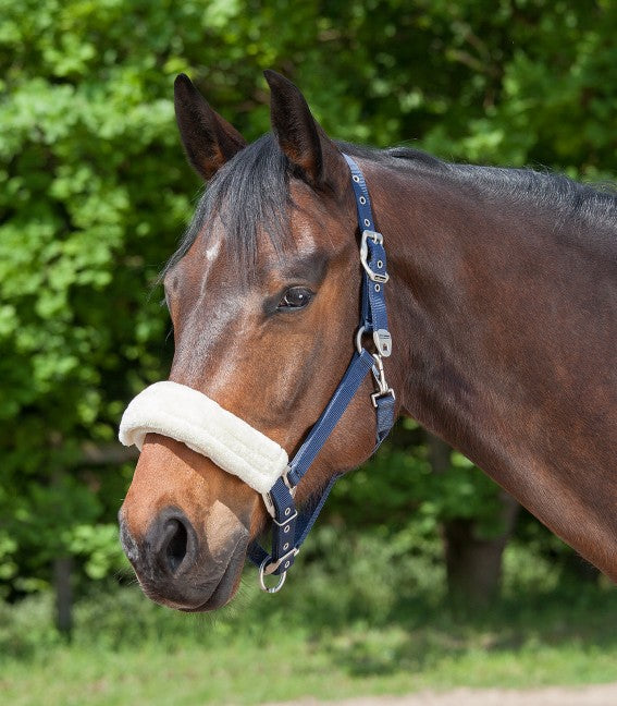 Noseband/Headpiece Cushioning Pads - Pirouette