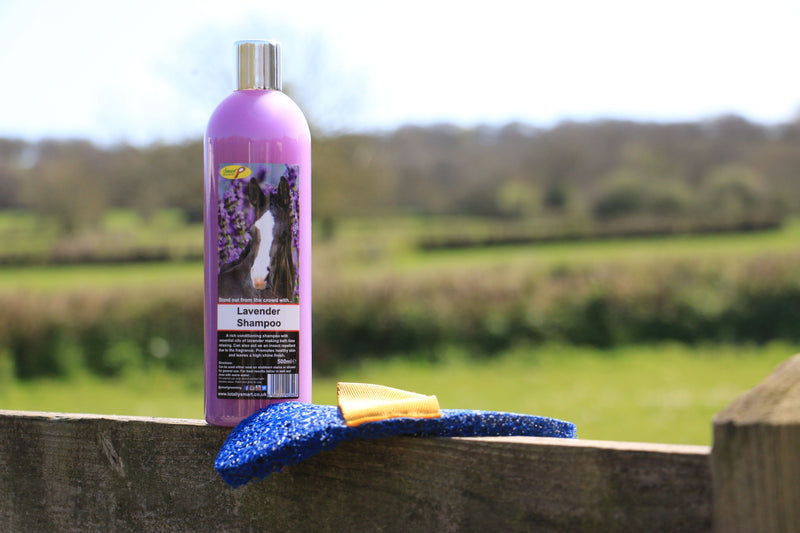 Lavender Shampoo - Pirouette