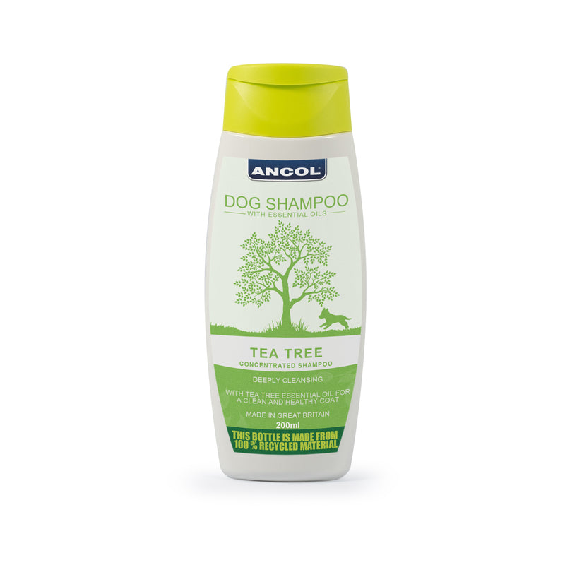 Dog Shampoo Tea Tree - Pirouette