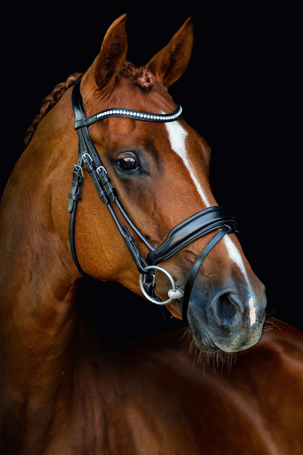 Malibu Snaffle Bridle - Pirouette