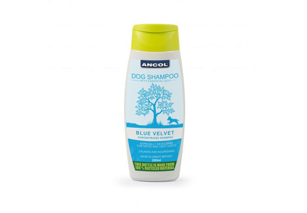 Blue Velvet Shampoo - Pirouette