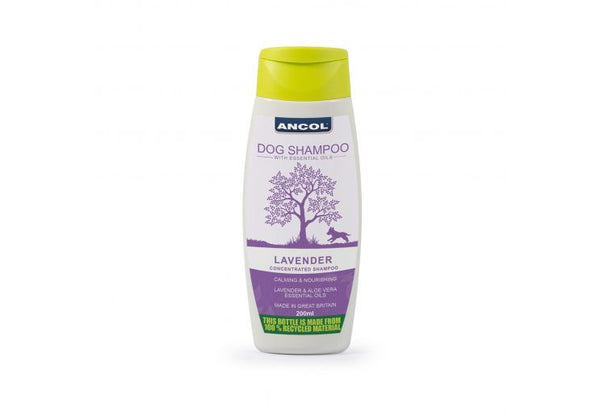 Lavender Shampoo - Pirouette