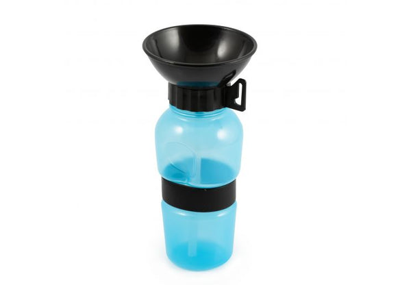 Travel Water Bottle - Pirouette