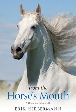 From The Horse's Mouth - Pirouette