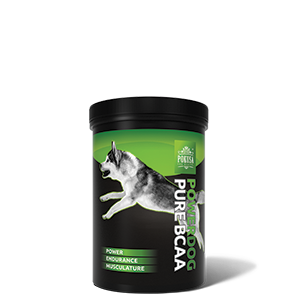 Bcaa dogs sale