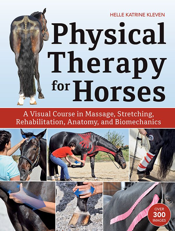 Physical Therapy For Horses - Pirouette