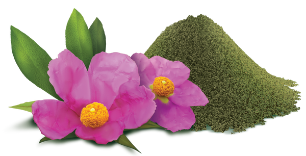 RawDietLine Cistus - Pirouette