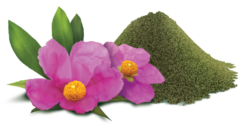 RawDietLine Cistus - Pirouette