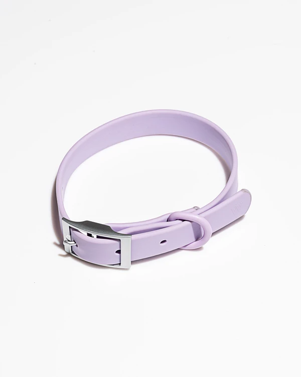 Wild One Collar - Pirouette