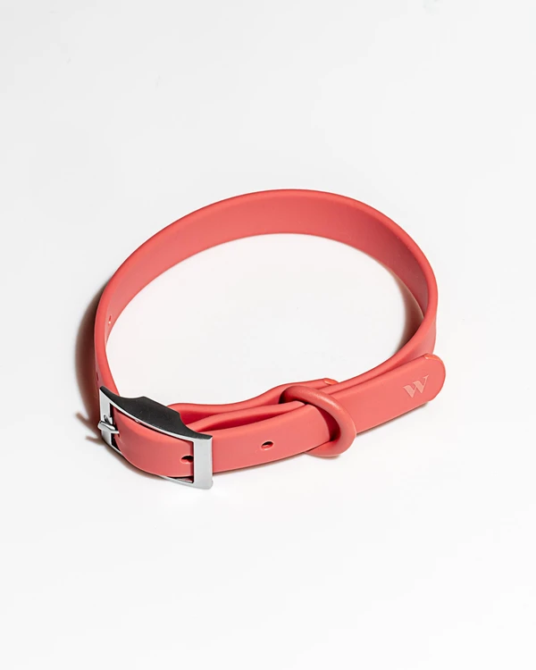 Wild One Collar - Pirouette