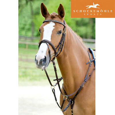 Race II martingale and breastplate - Pirouette